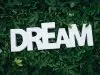 Live in the dream