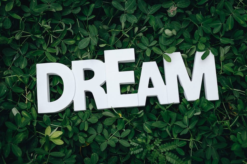 Live in the dream