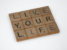 brown wooden blocks on white surface